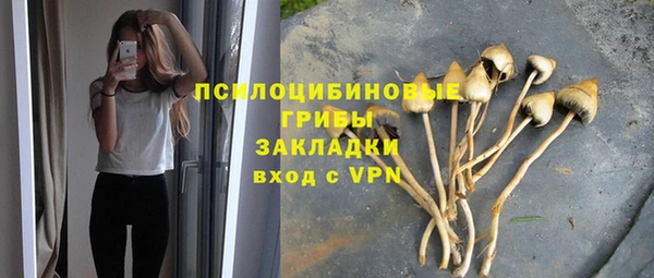 дурь Остров