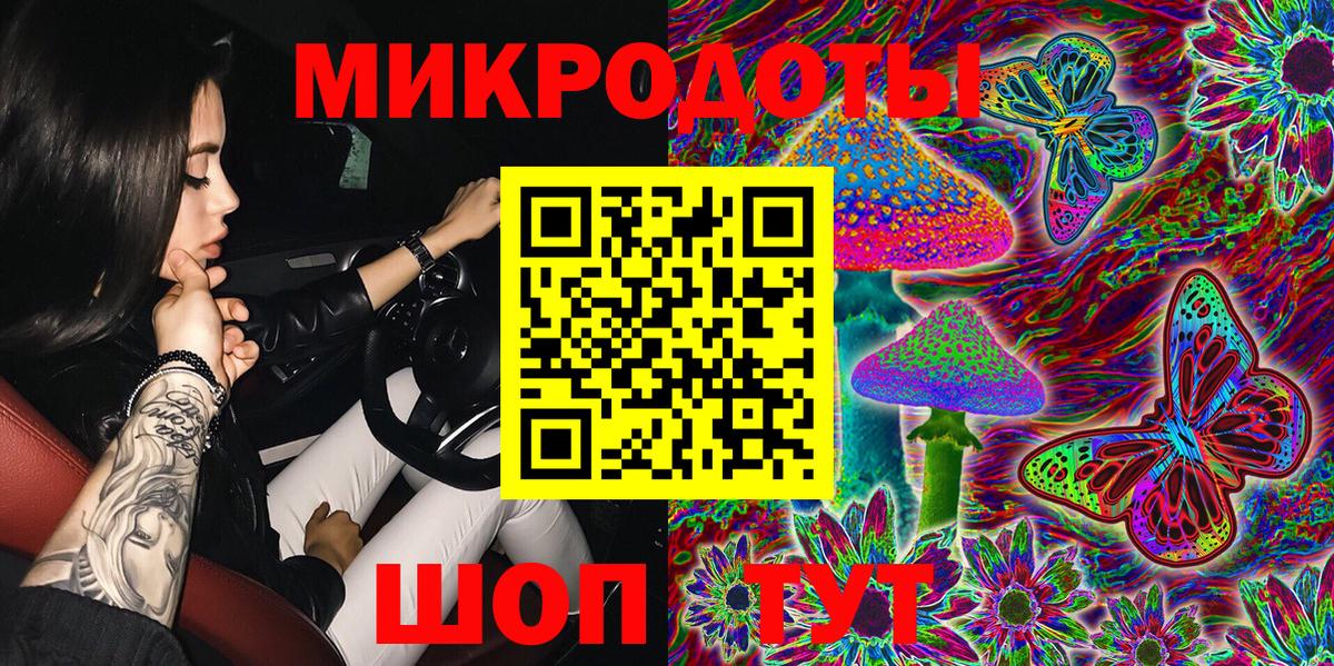 Галлюциногенные грибы Psilocybe Кисловодск