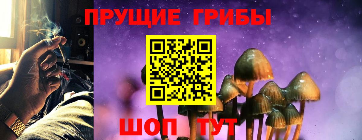 наркотики  Вход с VPN  Кисловодск  Галлюциногенные грибы Magic Shrooms 