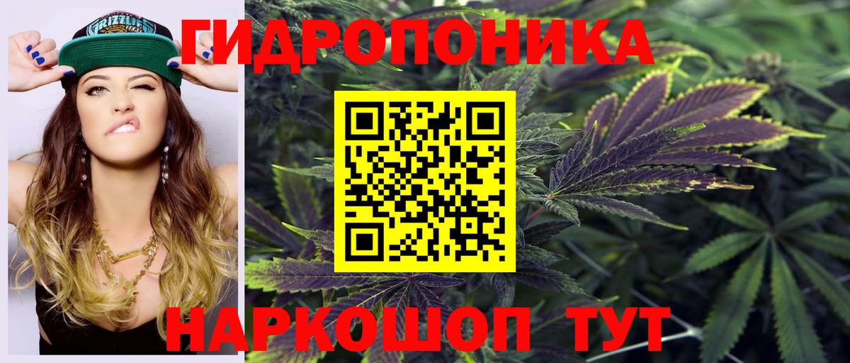 Бошки марихуана планчик Кисловодск